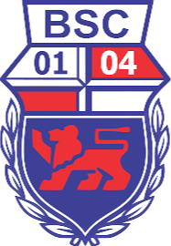 邦纳U19 队徽