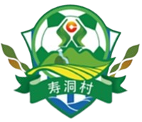 寿洞村队徽