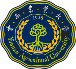 云南农业大学女篮