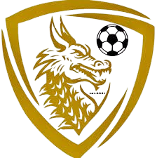 天龙FC