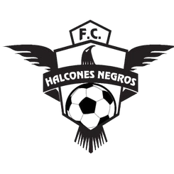黑隼
