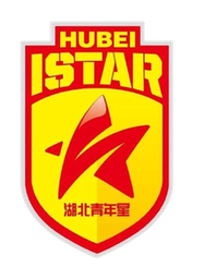 湖北青年星U13