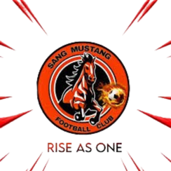桑野马FC队徽