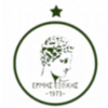 埃米斯埃克索奇斯 队徽