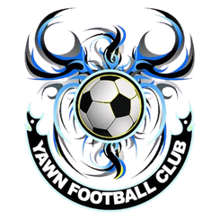 雅恩FC