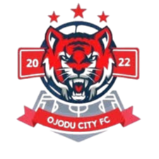 奥约杜市青年队队徽