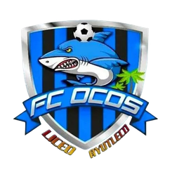 奥科斯FC