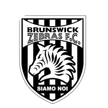 不伦瑞克斑马队徽