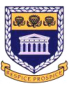 西开普大学女足
