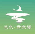 云东海街道 队徽