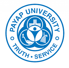 泰国西北大学队徽