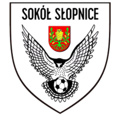 索科尔斯洛普尼斯