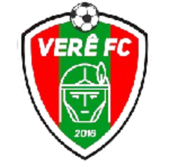 维尔足球FC