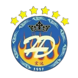 宏达宏兴 队徽