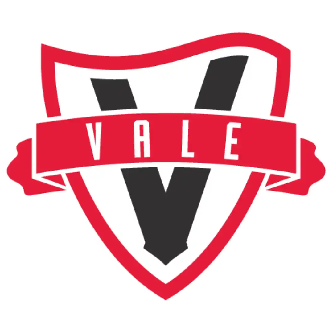 法雷奥女足队徽