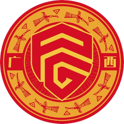 广西平果U21