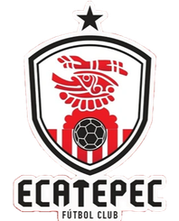 埃卡泰佩克FC 队徽